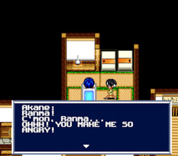 Ranma ½: Akaneko-dan teki Hihou