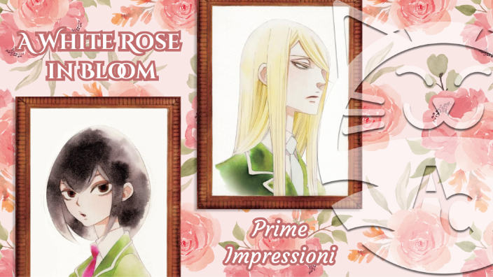 <b>A white rose in bloom</b>: prime impressioni sul nuovo Girls Love di Star Comics