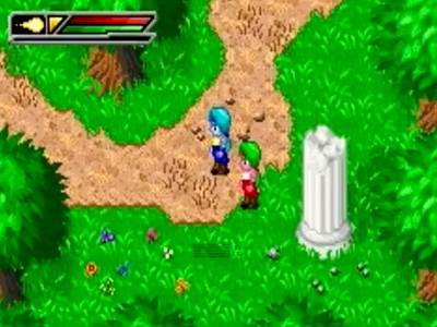 Dragon Ball Z: Buu's Fury