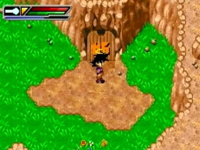 Dragon Ball Z: Buu's Fury