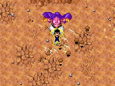 Dragon Ball Z: Buu's Fury