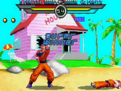 Dragon Ball Z: Taiketsu