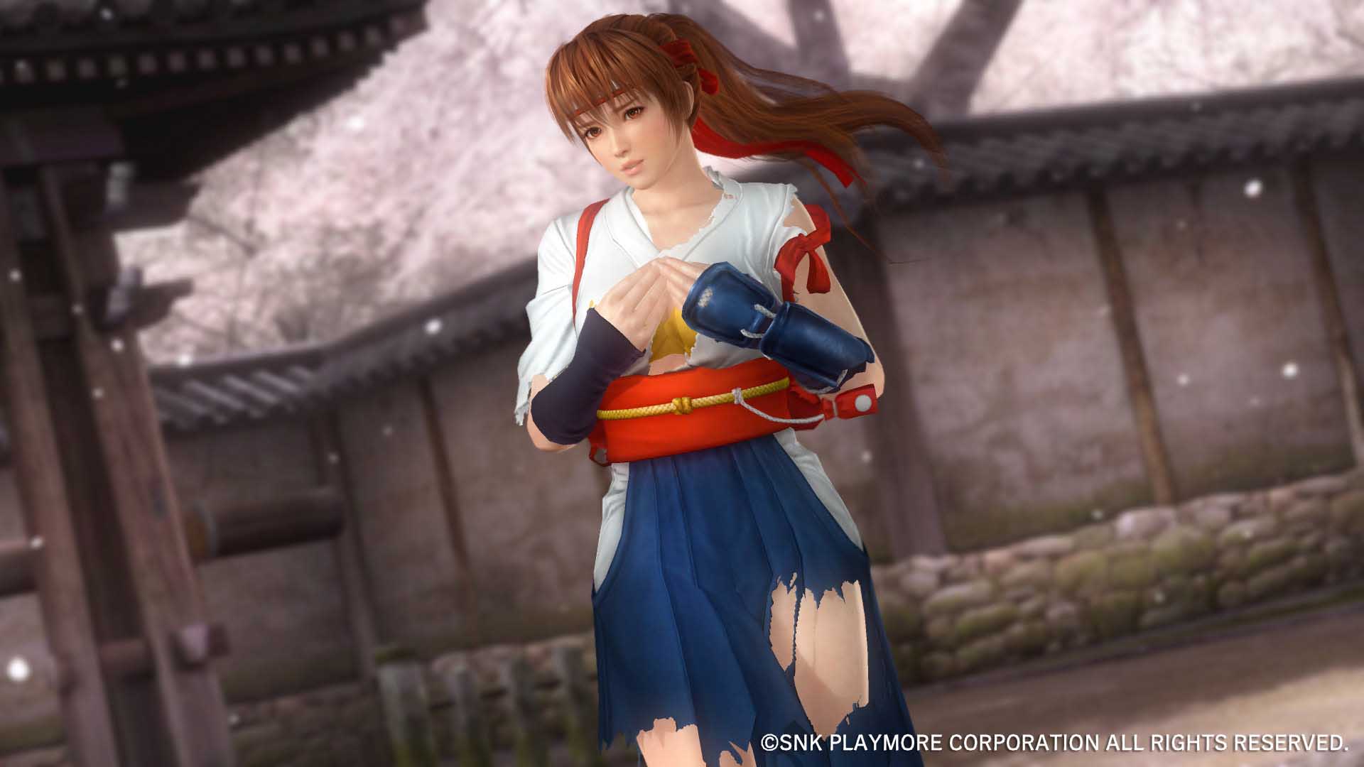 Kasumi Unleashed