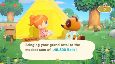 Animal Crossing: New Horizons