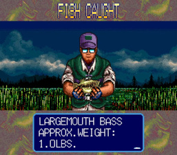 Bassins Black Bass with Hank Parker