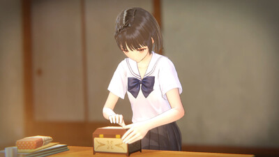 Blue Reflection Quartet