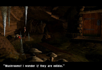 Chronicles of the Sword