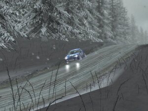 Colin McRae Rally 2005