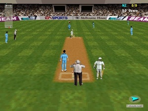Cricket 97