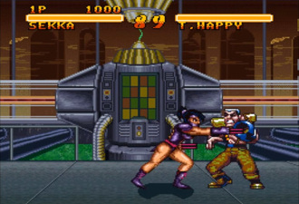Double Dragon V: The Shadow Falls