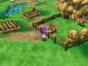 Dragon Quest V: Tenkū no Hanayome