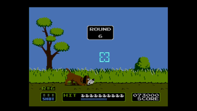 Duck Hunt