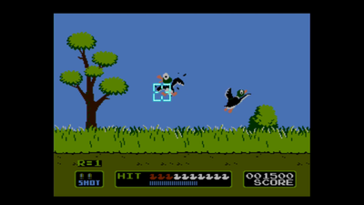 Duck Hunt