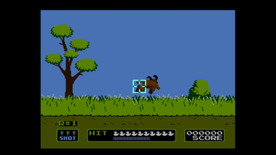 Duck Hunt