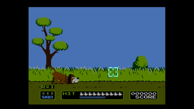 Duck Hunt