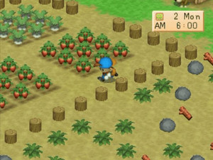 Harvest Moon: Back to Nature