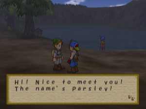 Harvest Moon: Save the Homeland