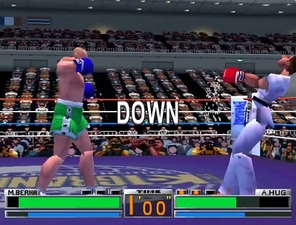 K-1 The Arena Fighters