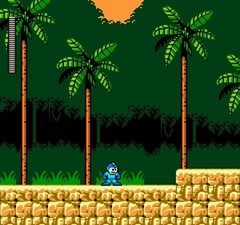 Mega Man 5