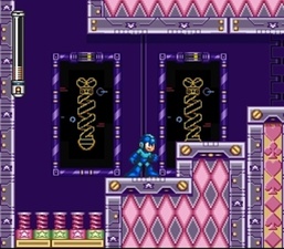 Mega Man 7