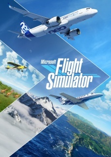 Microsoft Flight Simulator