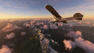 Microsoft Flight Simulator