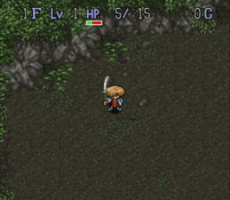 Mystery Dungeon: Shiren the Wanderer