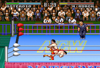 Natsume Championship Wrestling