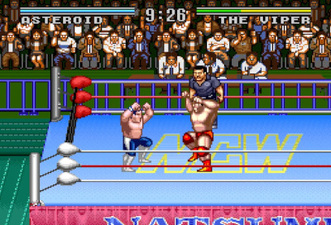 Natsume Championship Wrestling