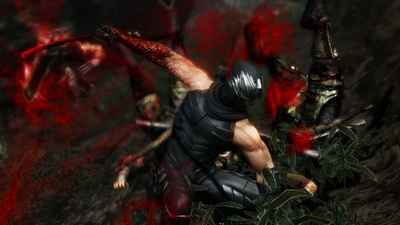Ninja Gaiden 3