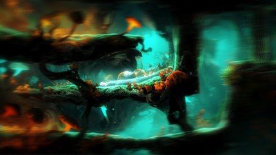 Ori and the Blind Forest