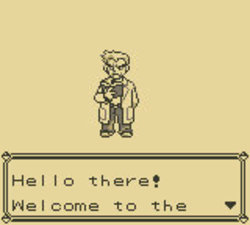 Pokémon Versione Rossa e Versione Blu