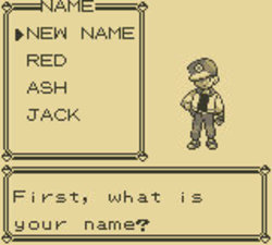 Pokémon Versione Rossa e Versione Blu