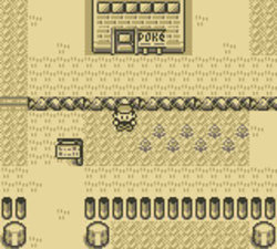 Pokémon Versione Rossa e Versione Blu