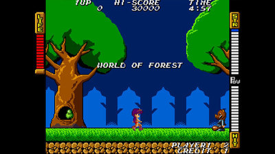 SNK 40th Anniversary Collection