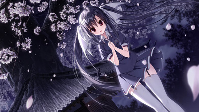 Sakura no Uta -To Dance Over the Cherry Blossoms-