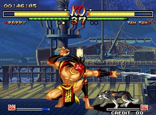 Samurai Shodown V
