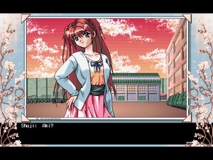 Season of the Sakura