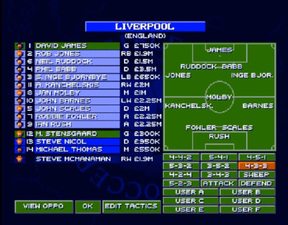 Sensible World of Soccer