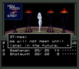 Shin Megami Tensei