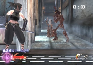 Tenchu: Wrath of Heaven