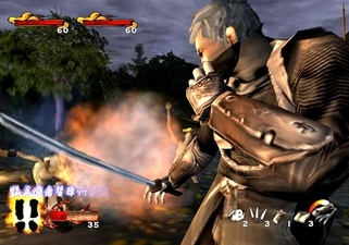 Tenchu: Wrath of Heaven