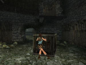 Tomb Raider: Anniversary