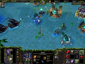 Warcraft III: Reign of Chaos