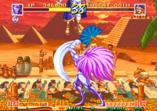 World Heroes Perfect