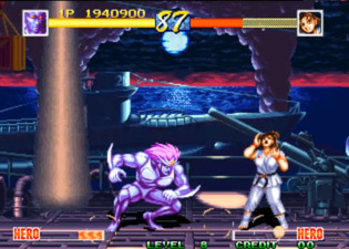 World Heroes Perfect