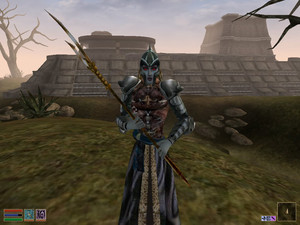 The Elder Scrolls III: Morrowind