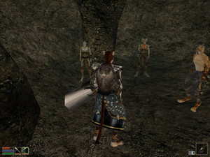 The Elder Scrolls III: Morrowind