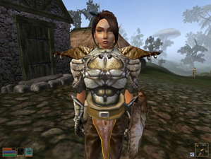 The Elder Scrolls III: Morrowind