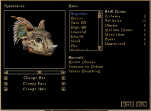 The Elder Scrolls III: Morrowind